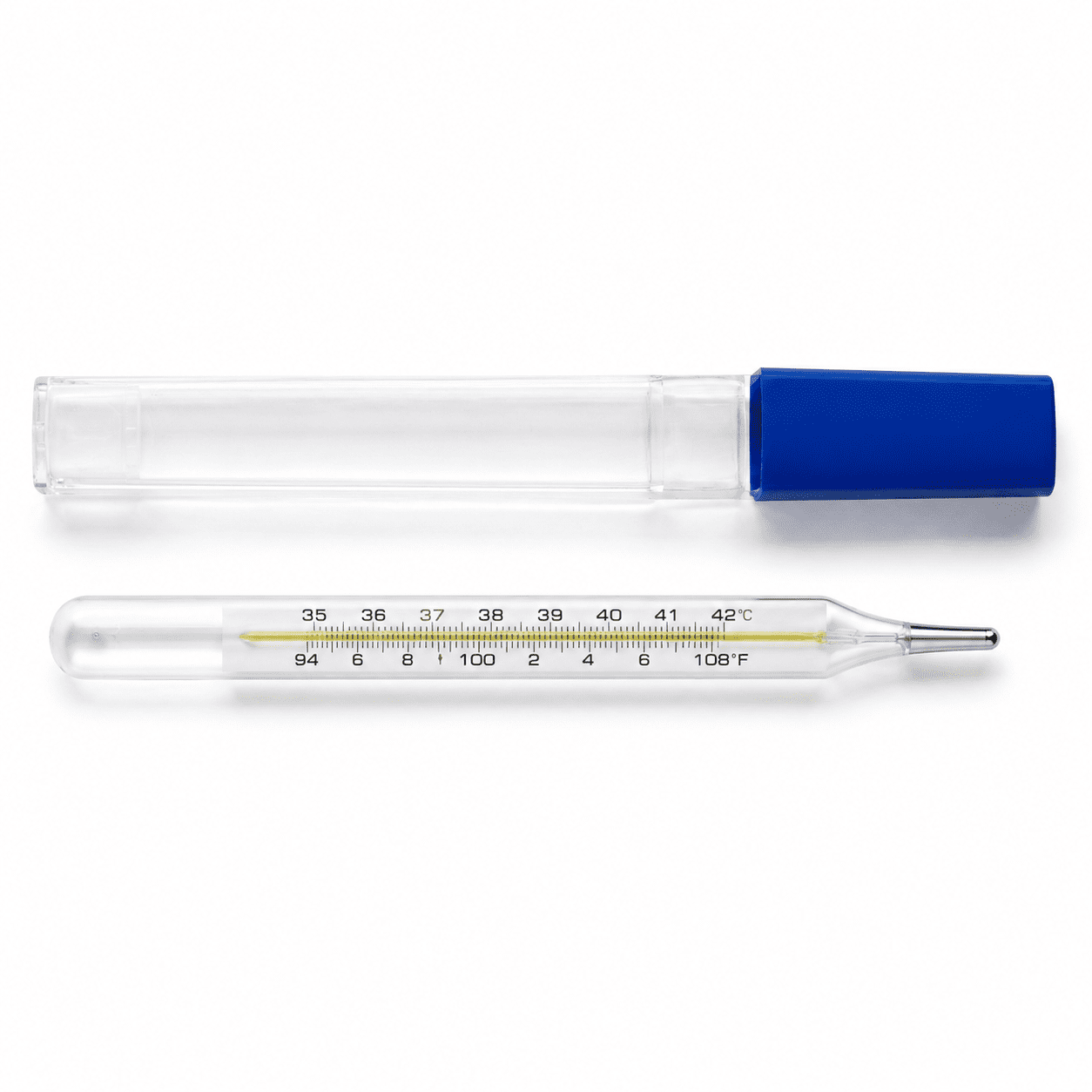 Mercury Glass Thermometer Large product set