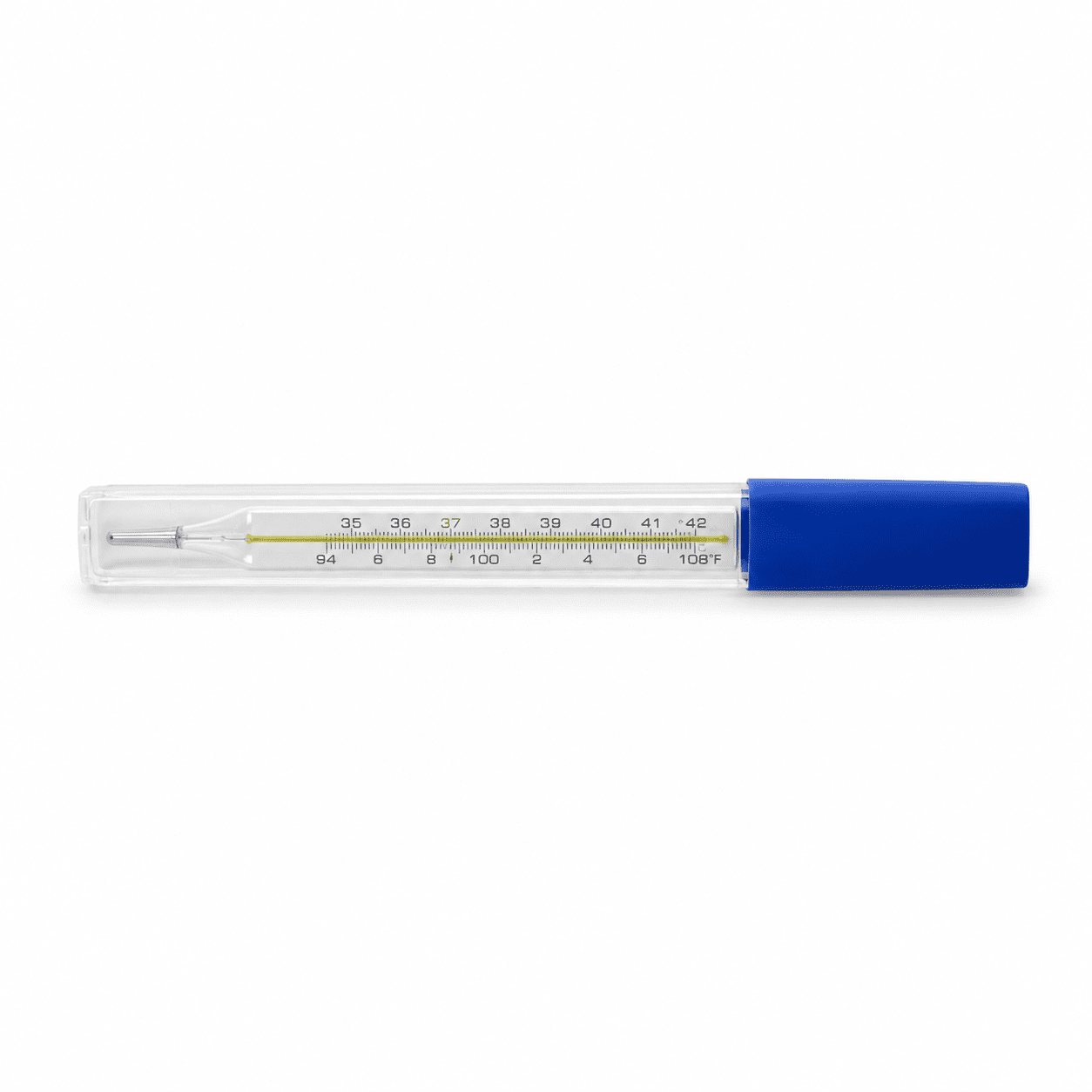 Mercury Glass Thermometer Large inside case