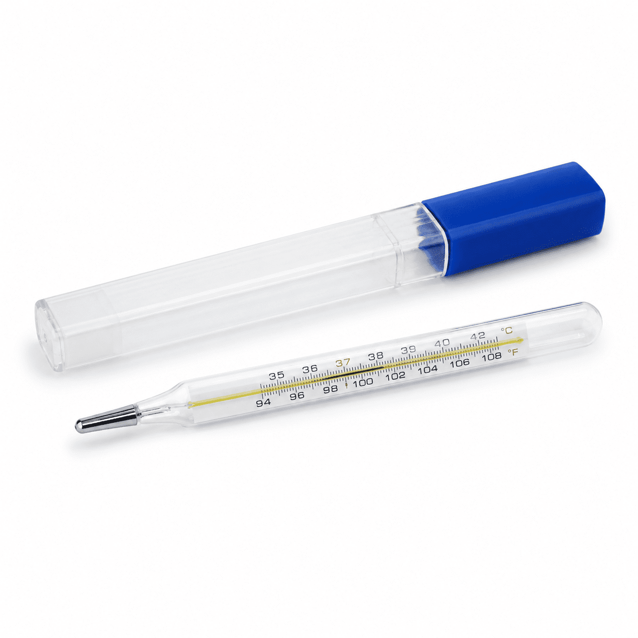 Mercury Glass Thermometer Large with case